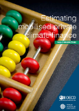 Research Collaborative - Cover page - Brochure Estimating mobilised private climate finance